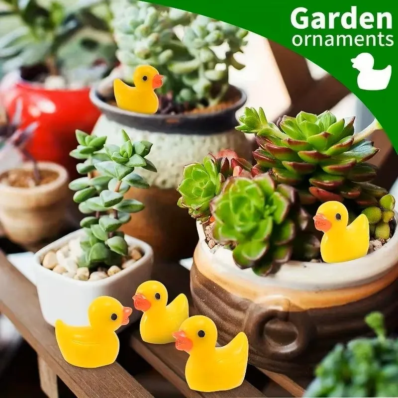 بطات صغيرة من الراتنج بالجملة  - مراجعة Games Garden Party وسعره